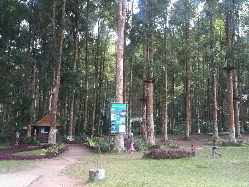 巴厘岛树顶探险公园