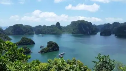 Mixte-vietnamien
