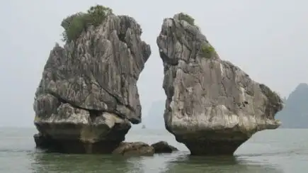 Séjour chez l'habitant à Halo Bay