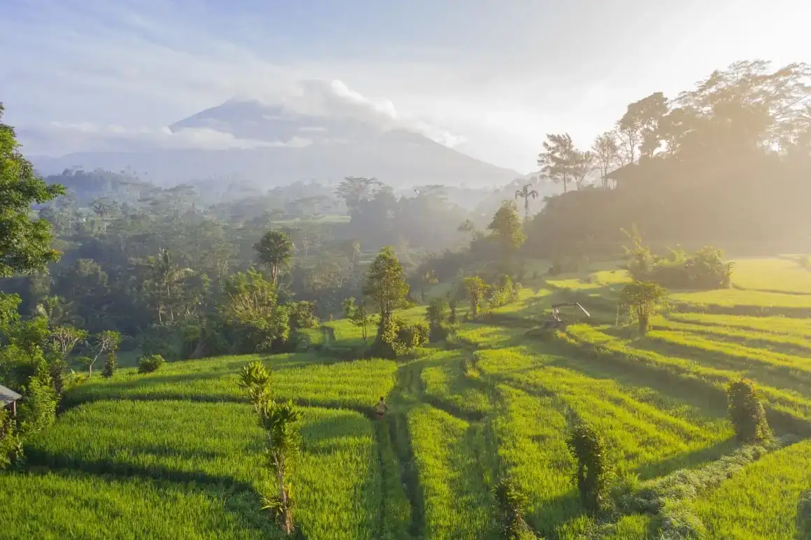 Avant de faire du bénévolat à Bali