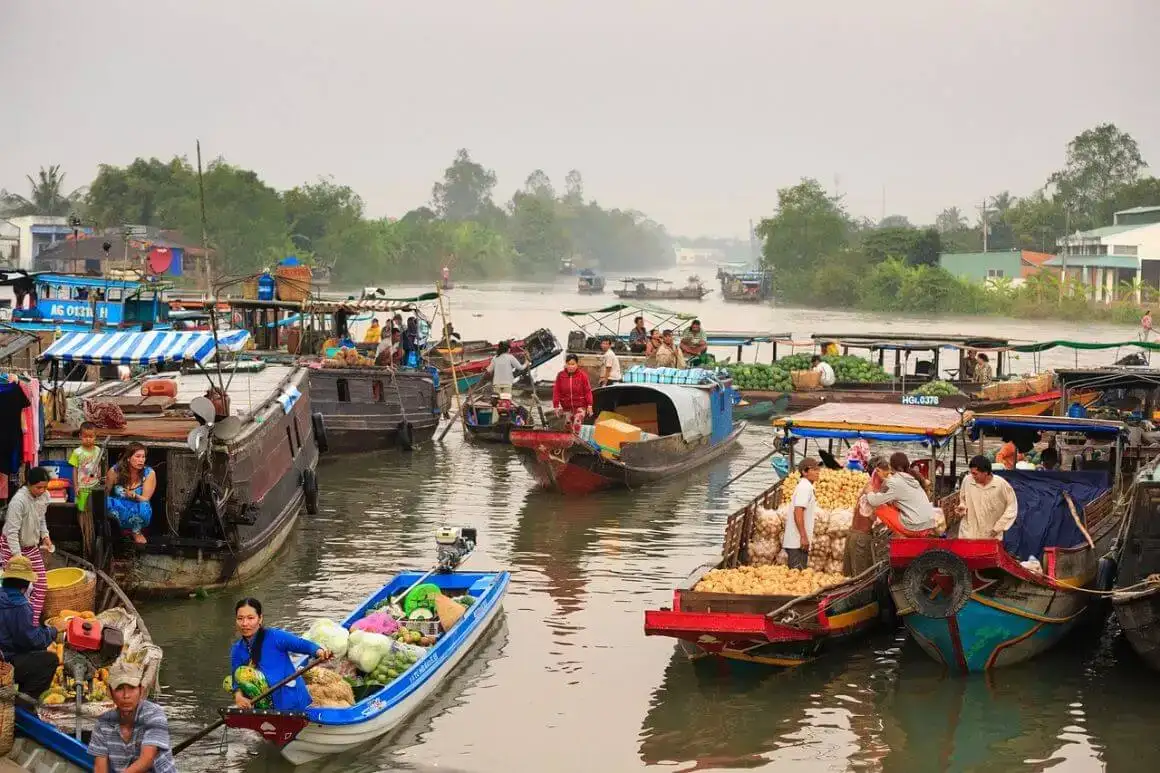 Une vallée verdoyante avec des fleurs roses au parc national de Cat Tien, au Vietnam