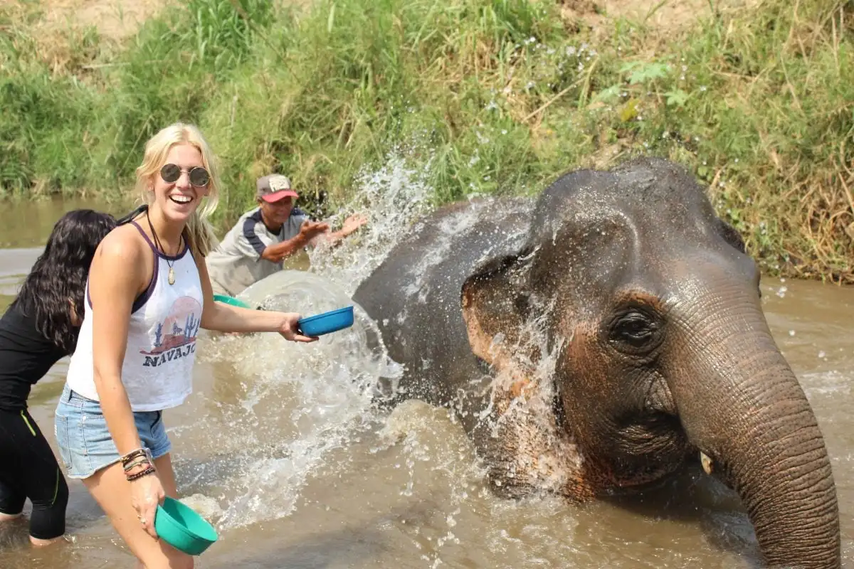 choses à faire à Pai Elephants Ethical