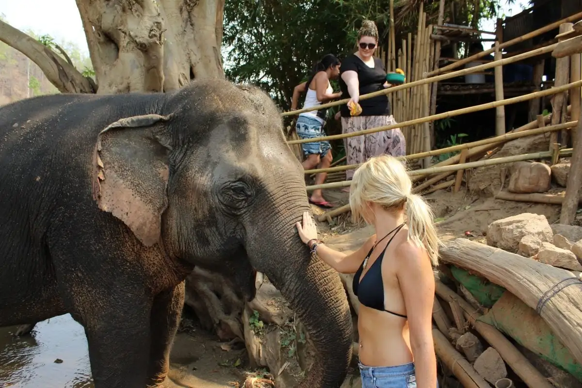 choses à faire à Pai Elephants