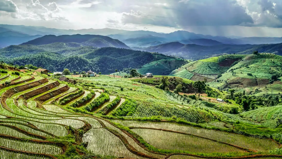 Campos de arroz Mae Chaem Tailândia