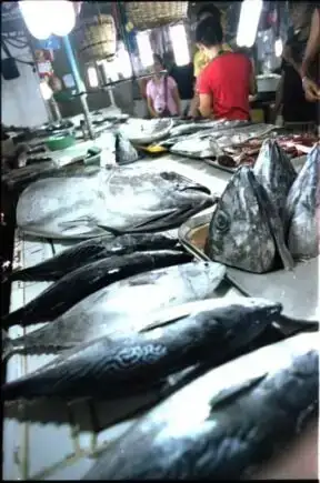 Prodavaonica ribe na javnoj tržnici San Jose Puerto Princesa