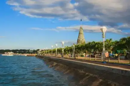 ležaljke oko bazena s palmama u Microtel by Wyndham Puerto Princesa