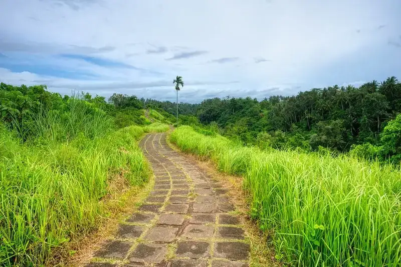 Đường đi bộ Campuhan Ridge Bali