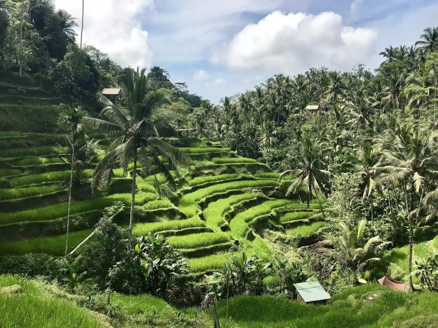 Ruộng bậc thang Tegallalang