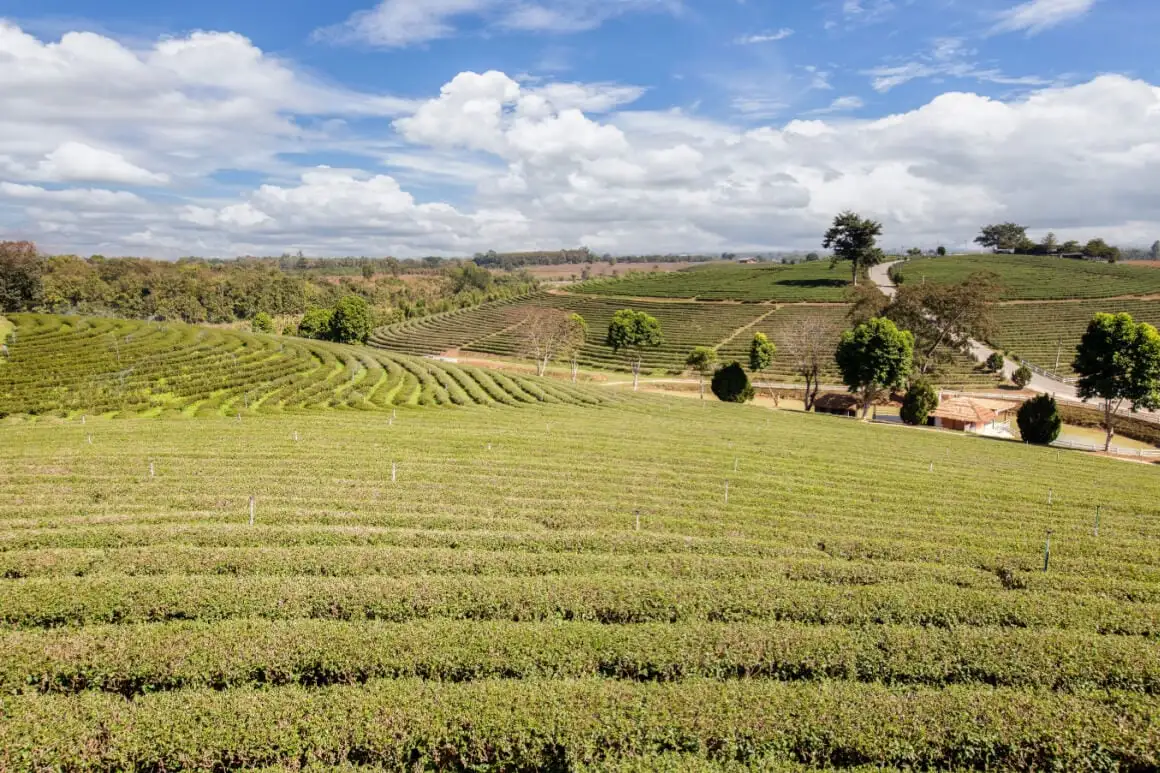 Vistas paisagísticas de uma colina em Kong Lan Pai Canyon, Tailândia