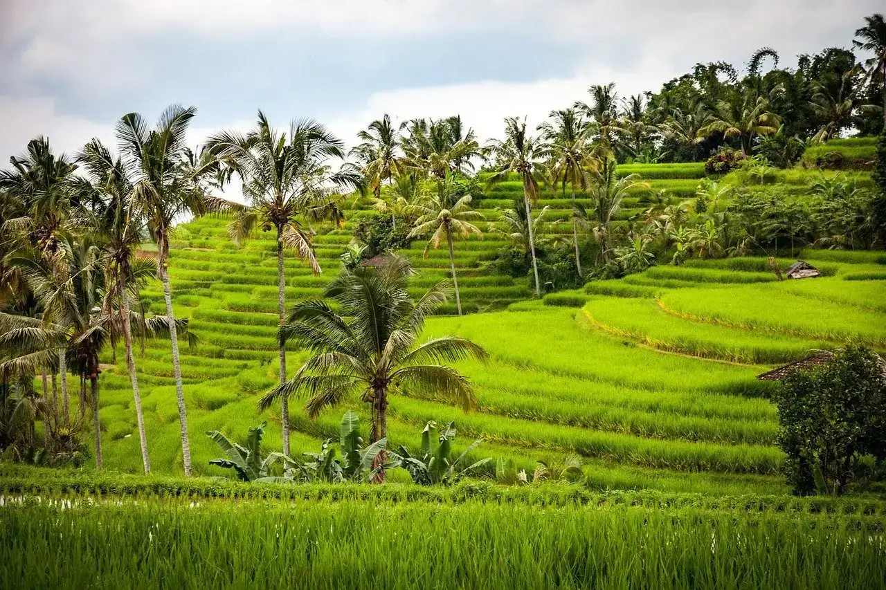 sécurité des temples de Bali sur le lac
