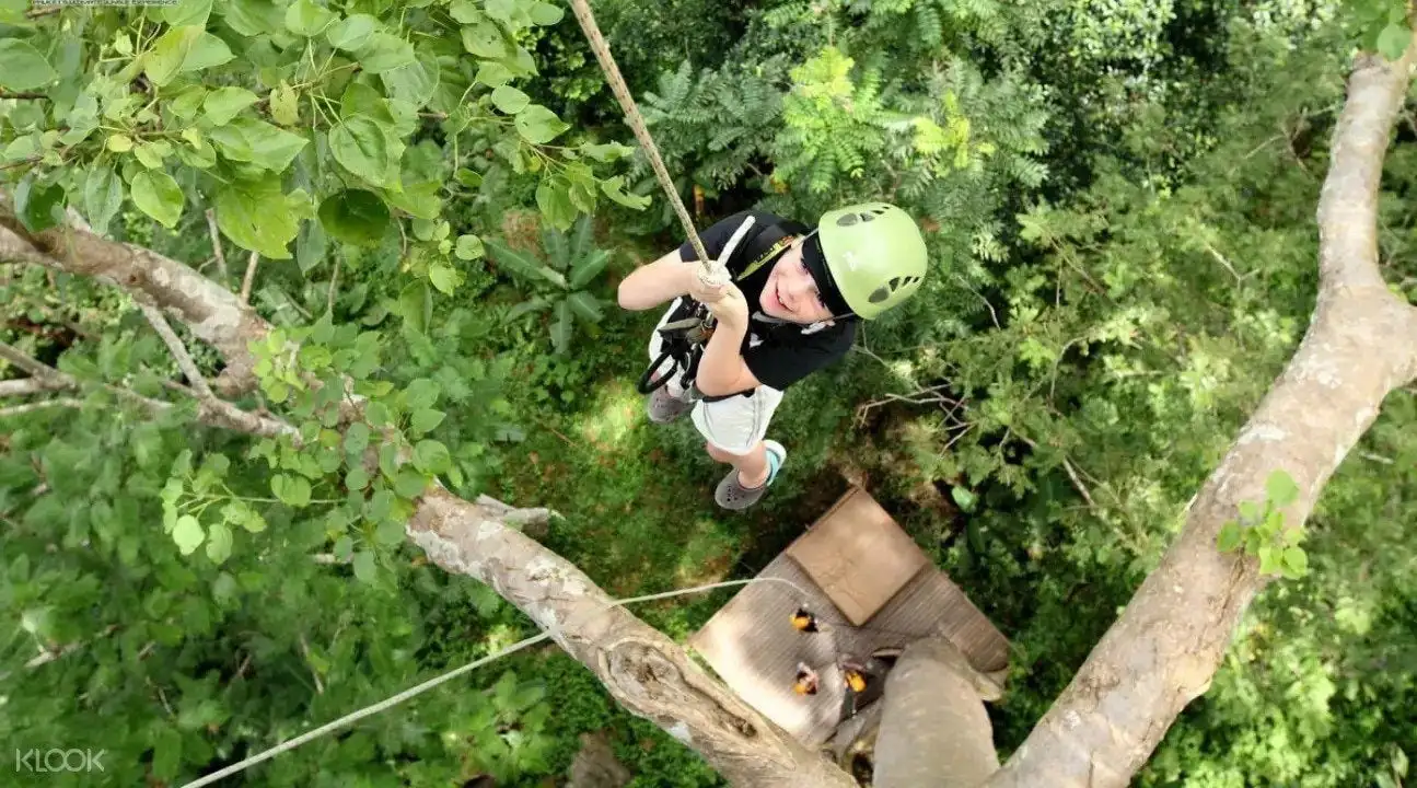 Zipline דרך יער הגשם