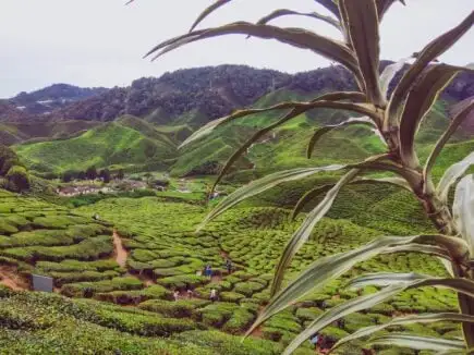 Malaysische Ebenen