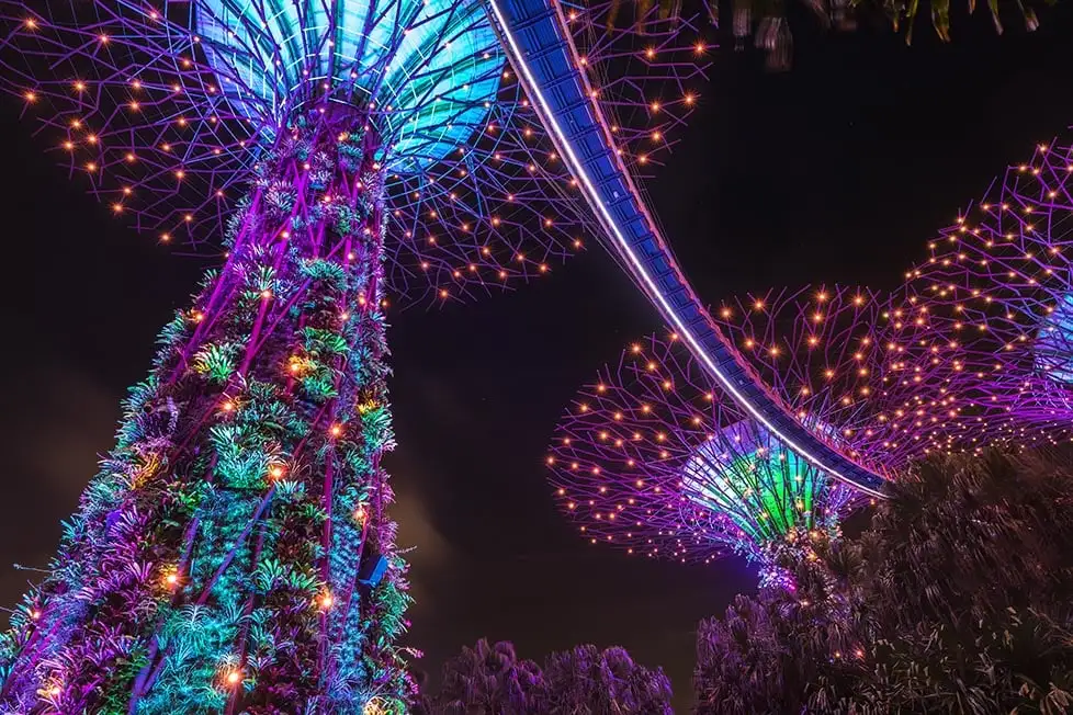 Singapur'daki Gardens by the Bay'in gökyüzü ağaçları geceleri yeşil, mavi ve mor renklerle aydınlandı.