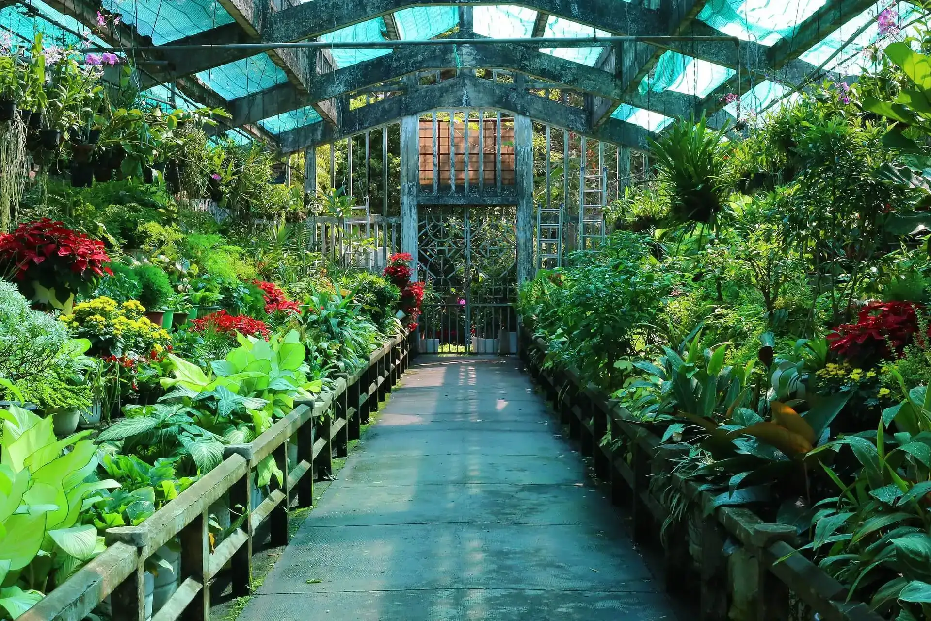 Jardins botaniques, Hô Chi Minh-Ville