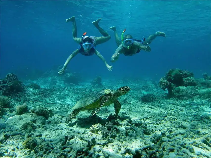 Excursion d'une journée au meilleur de Lombok