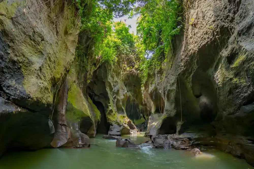 Insula Cerbului, Bali
