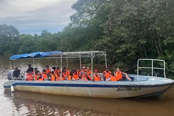 Beyaz Su Nehri Raftingi Kota Kinabalu