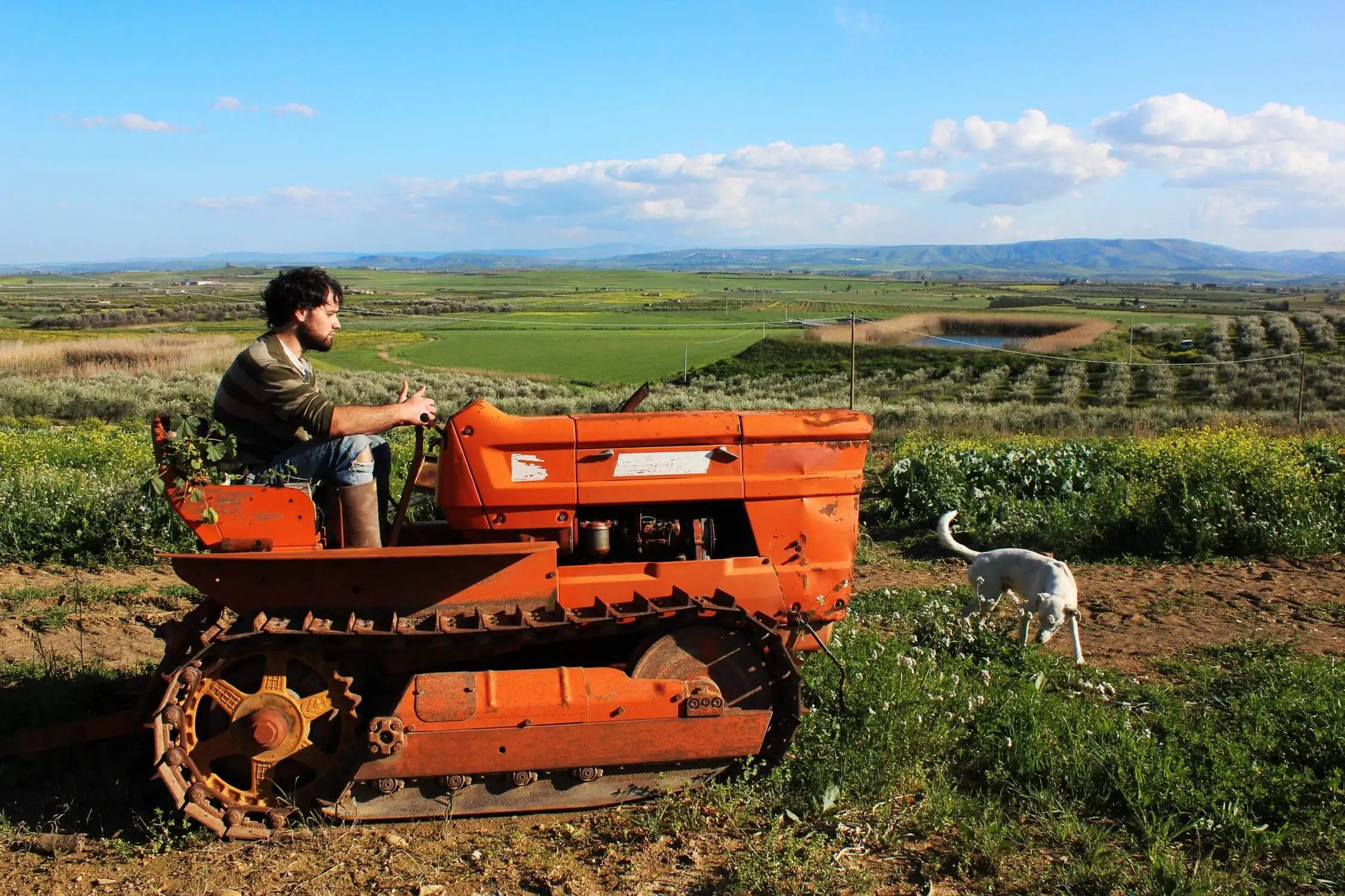 voluntariado no workaway da fazenda
