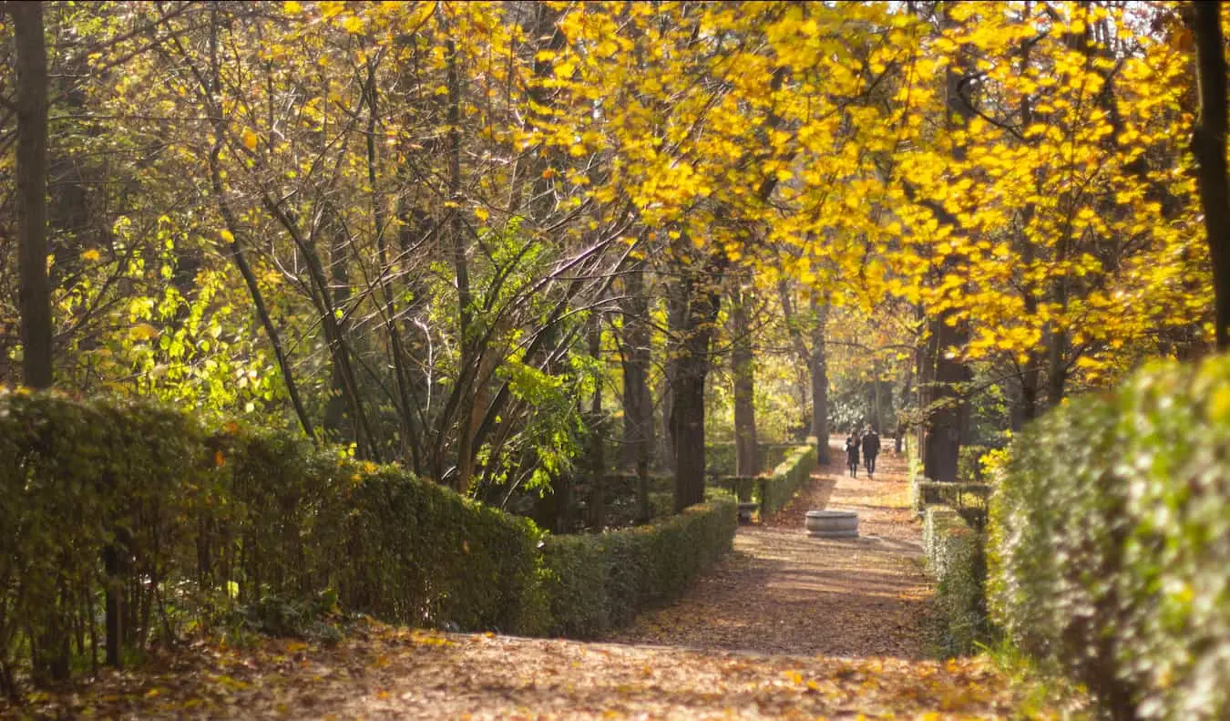 Le parc verdoyant du Retiro à l'automne à Madrid, Espagne