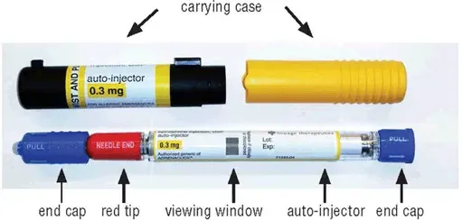 Epinephrine injection USP auto-injector 0.3mg - Illustration