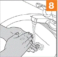 Wash hands right away with soap and water - Illustration