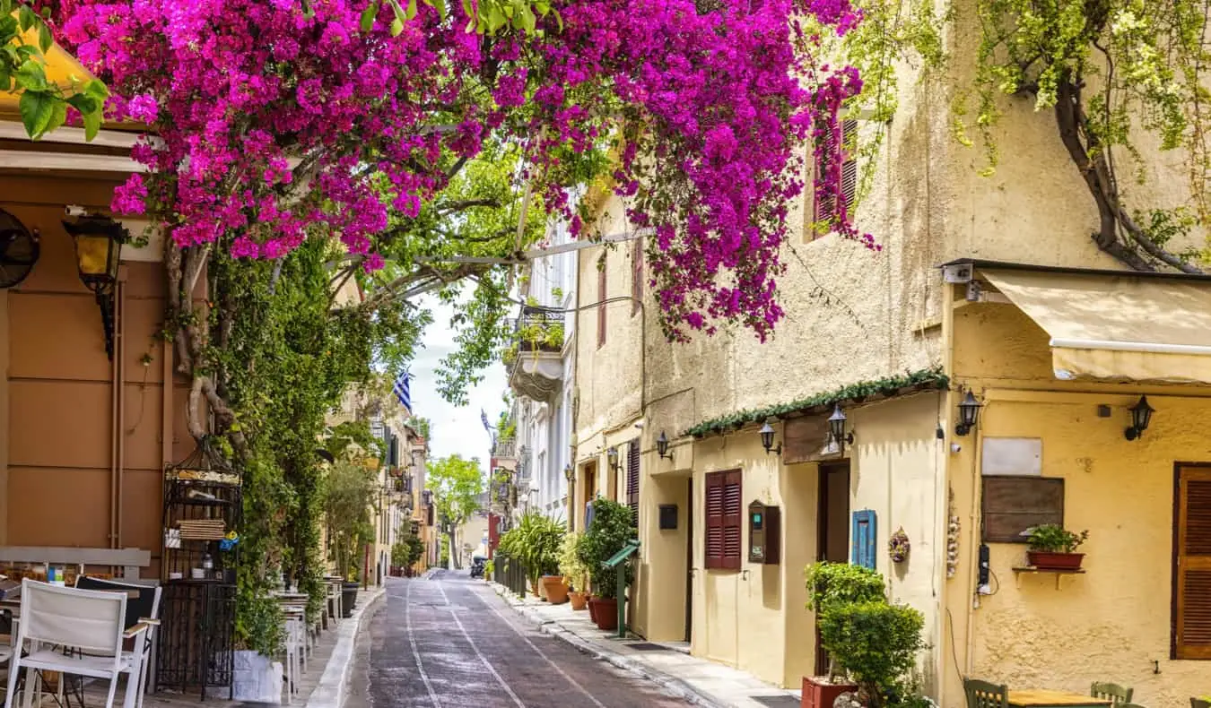 Une charmante rue étroite bordée de verdure et d'arbres à Plaka, Athènes