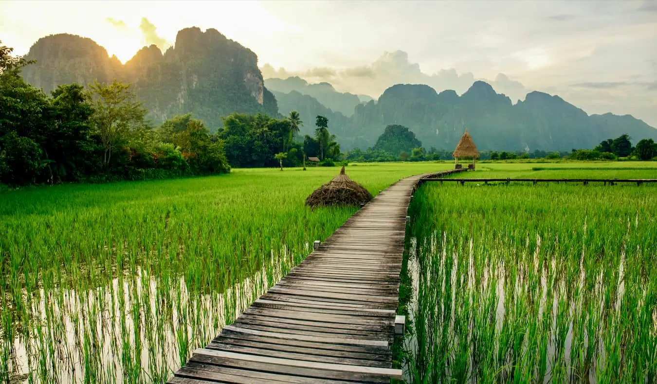 Um campo lindo e exuberante no Laos em um dia ensolarado com um boardwak de madeira