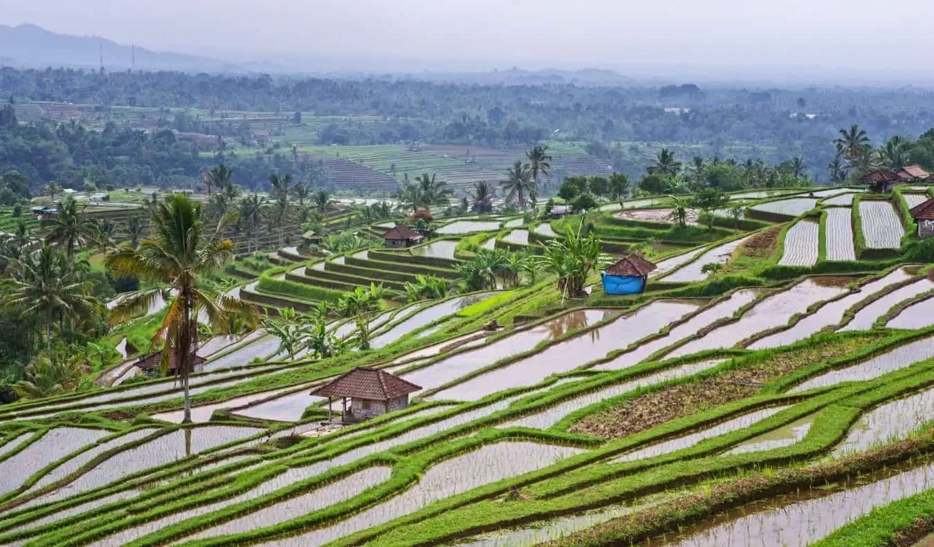 Surplombant les rizières en terrasses de Jatiluwih à Bali, en Indonésie, par temps nuageux