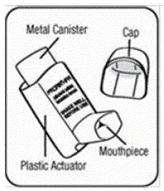 Parts of HFA - Illustration