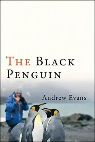 Pingouin noir par Andrew Evans