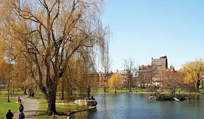 Les arbres et l'eau près de Boston