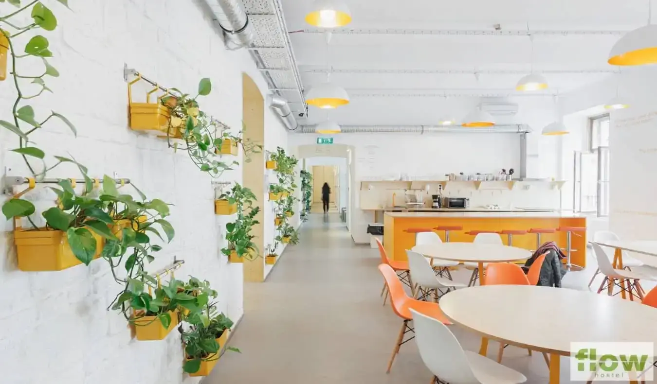 Café et cuisine avec tables et plantes orange au mur du Flow Spaces Hostel à Budapest