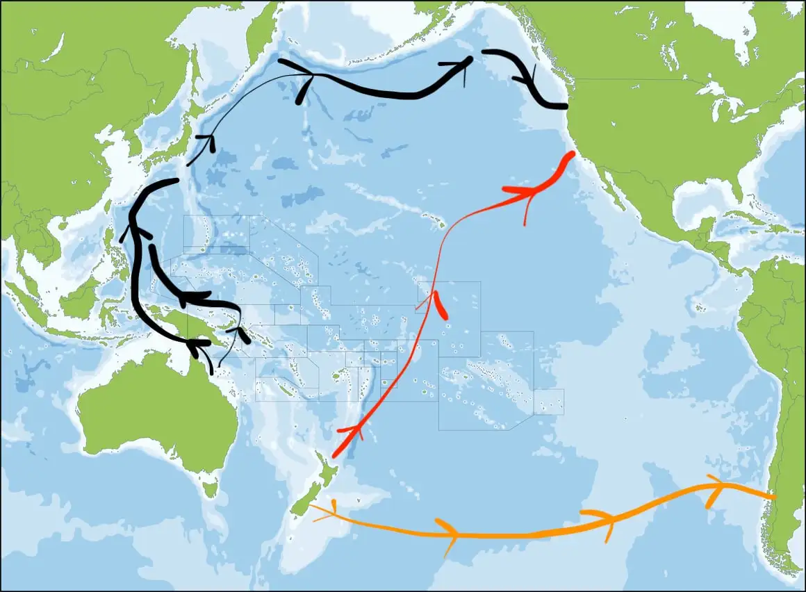 mapa mostrando possíveis rotas de navegação de oeste para leste através do oceano Pacífico