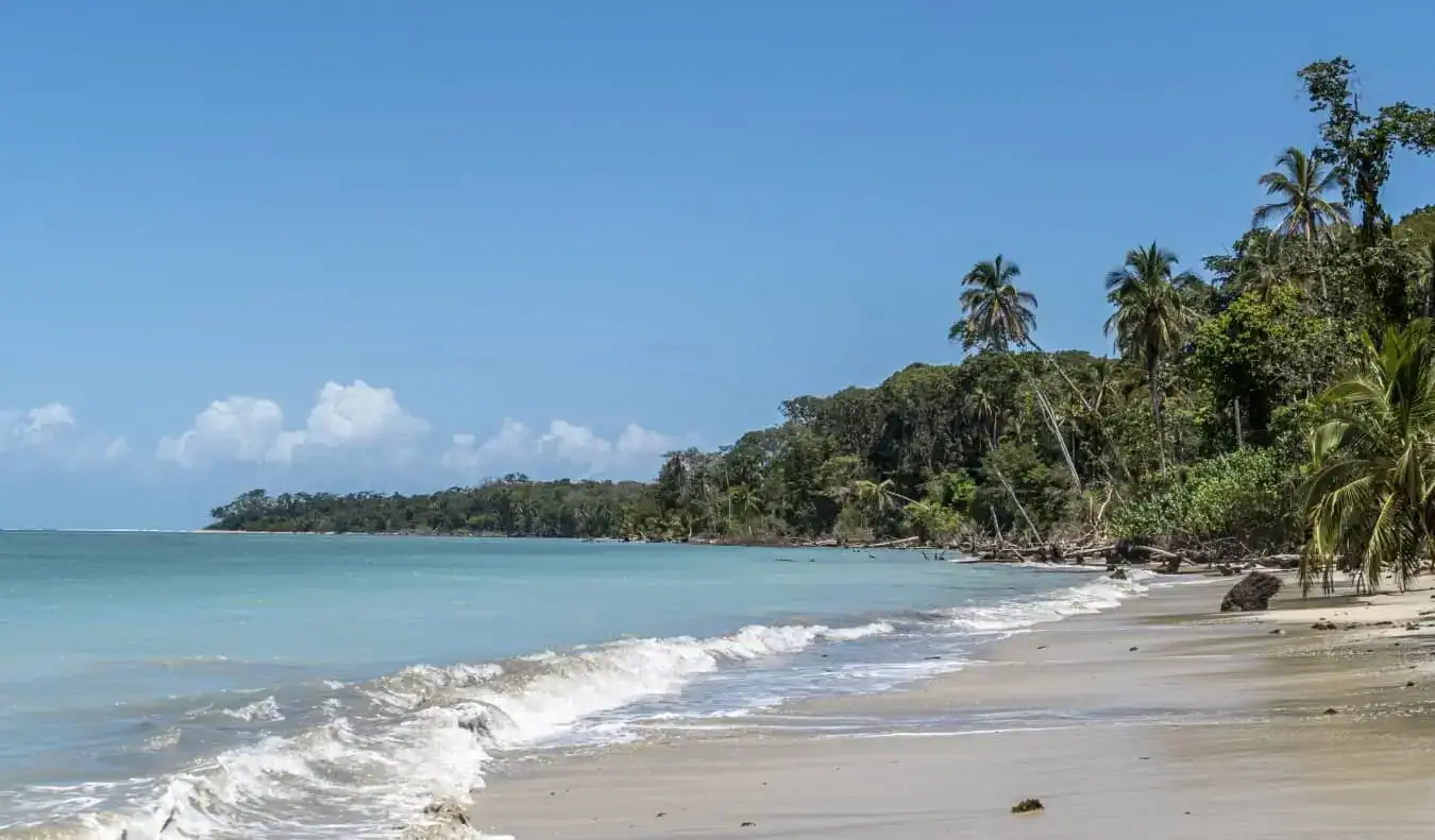 Comment visiter le parc national de Cahuita au Costa Rica