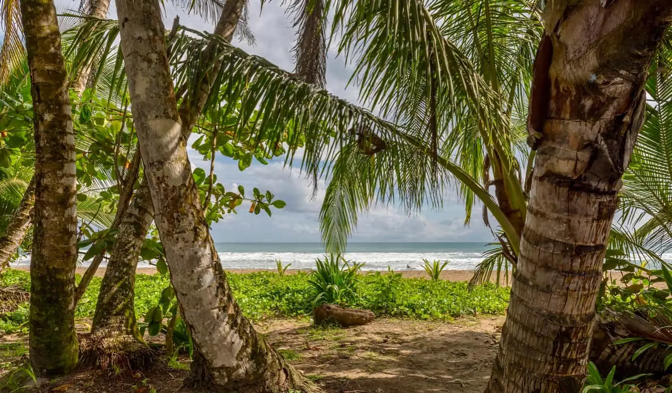 La côte du Costa Rica vue à travers les arbres sur la plage de Punta Uva