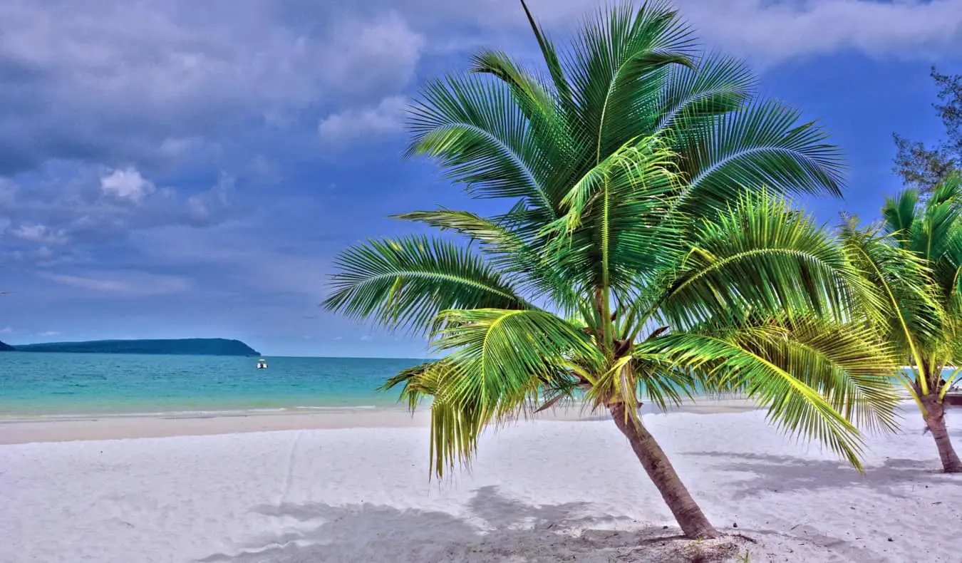 Une plage tranquille avec des arbres exotiques sur Kog Rong, Cambodge