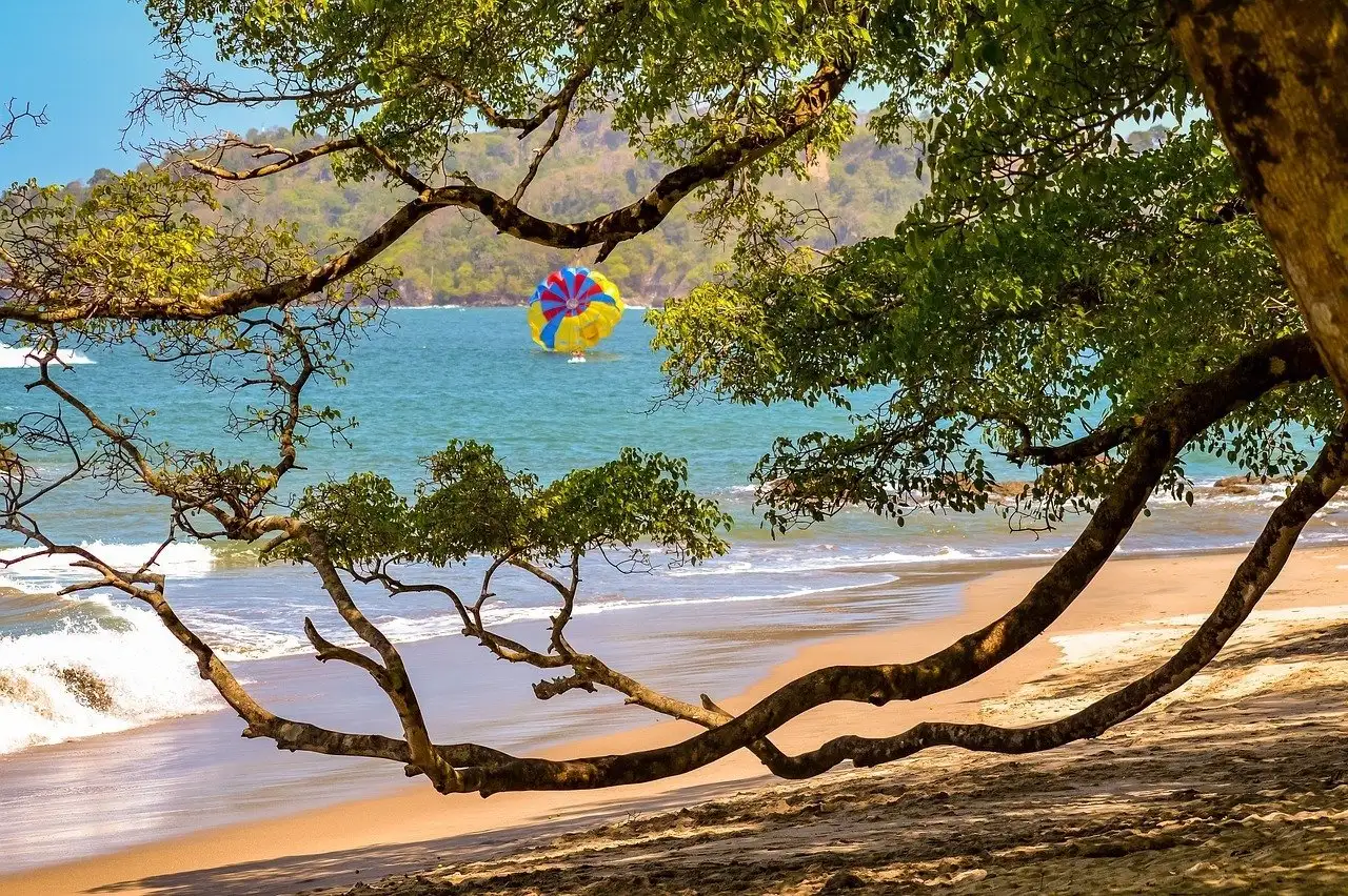 10 labākie hosteļi pilsētā Manuel Antonio • Galvenais ceļvedis ceļotājiem — 2024. gadam
