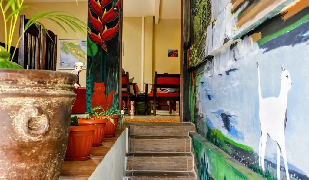L'intérieur coloré de l'auberge Stray Cat à San José, Costa Rica