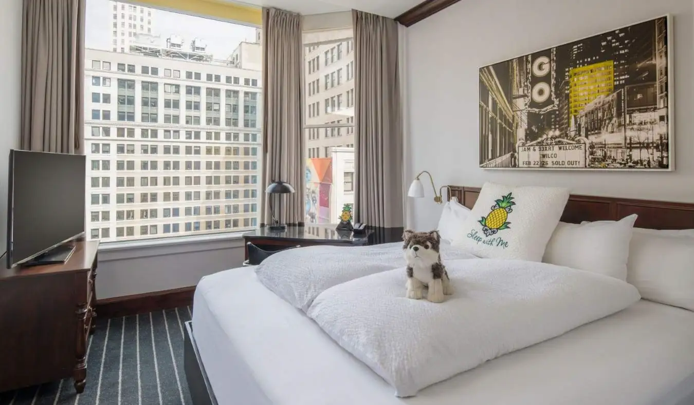 Gæsteværelse på Staypineapple hotel i Chicago, med en udstoppet hund på sengen og et stort vindue med udsigt til byens skyskrabere