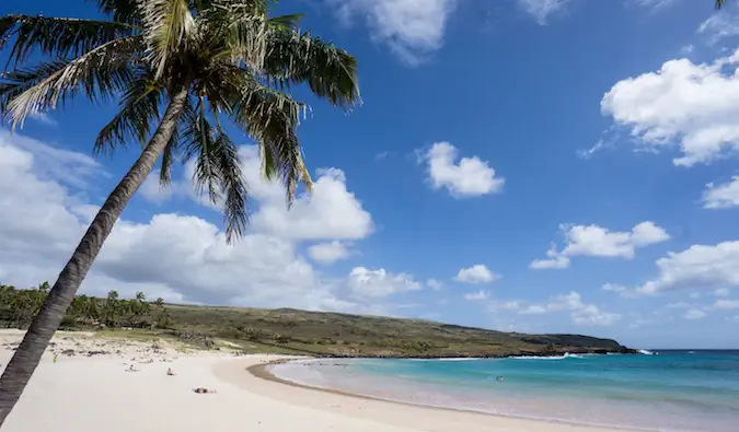 plage isolée sur l'île de Pâques, avec un palmier et du sable blanc