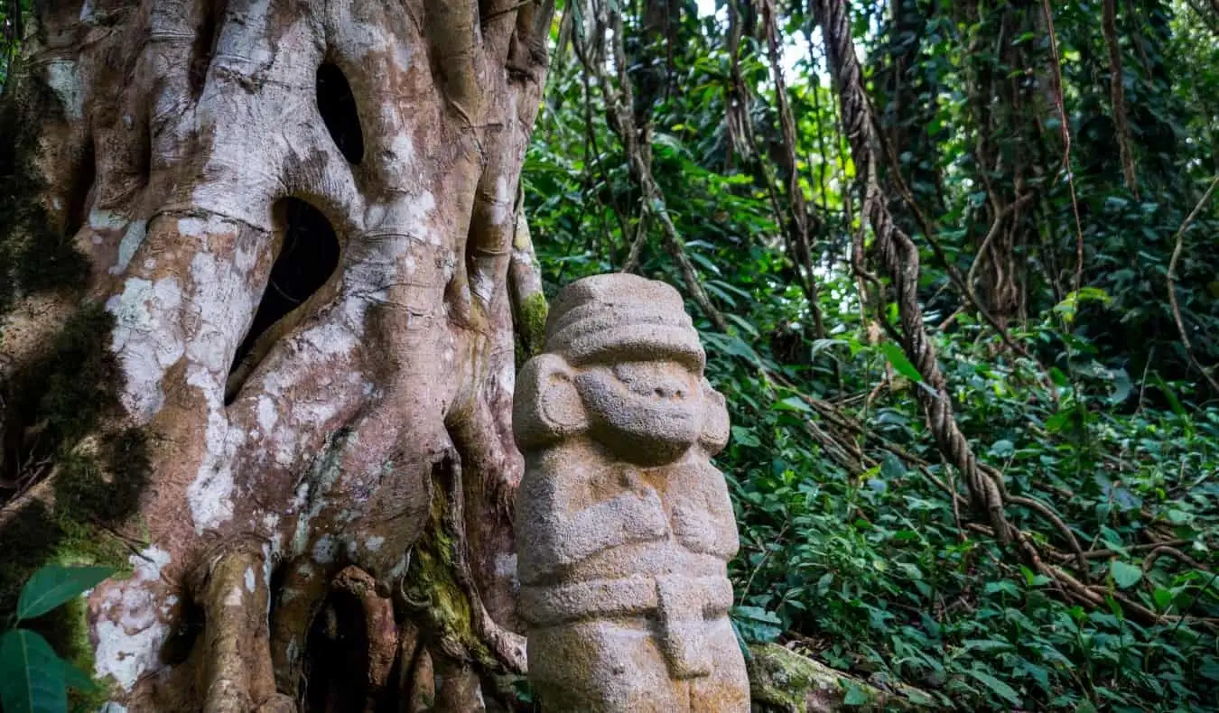 Une ancienne statue précolombienne dans la forêt tropicale à côté d'un vieil arbre aux grandes racines.