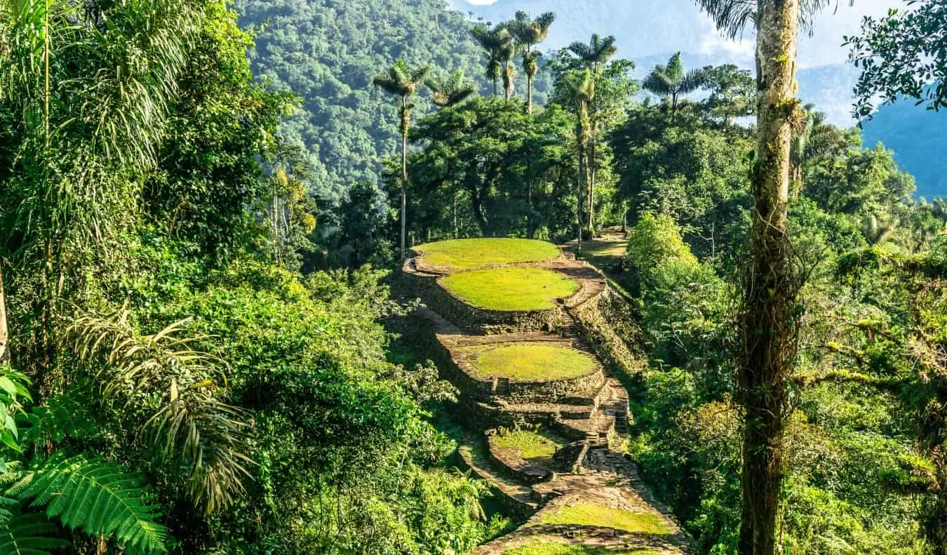 Plates-formes en pierre à plusieurs niveaux recouvertes d'herbe dans la jungle de la Cité Perdue en Colombie