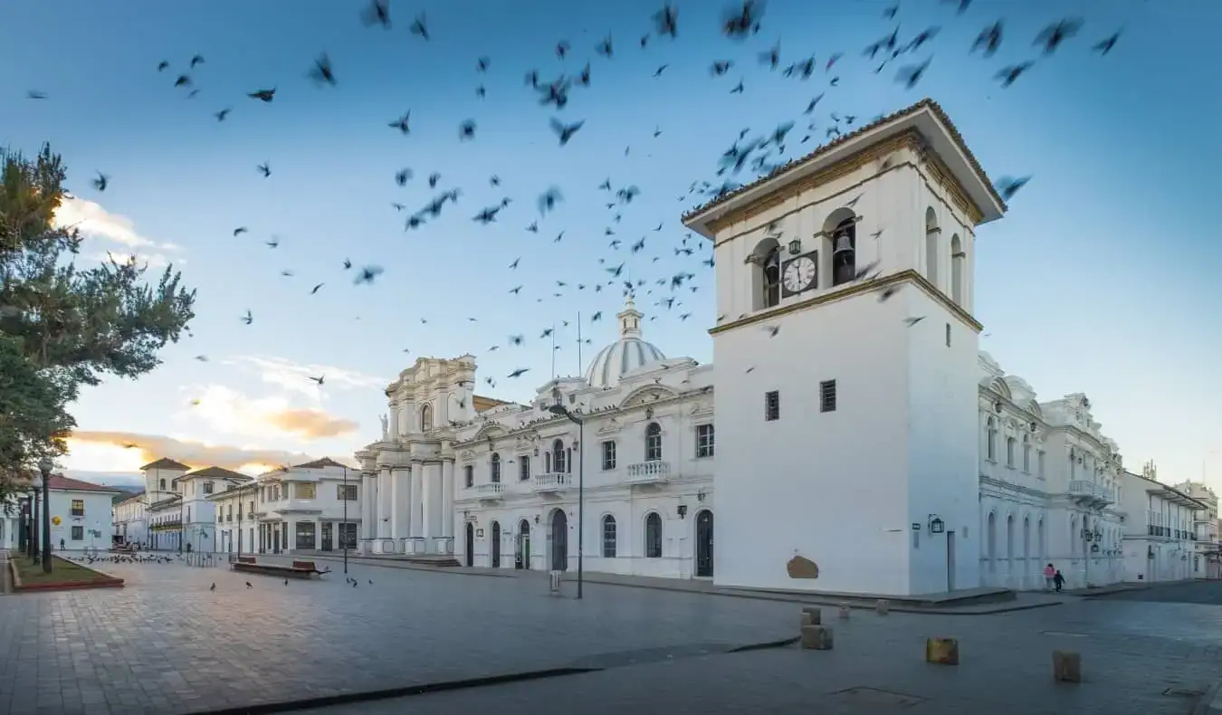 Volée d'oiseaux volant au-dessus des bâtiments blancs historiques de Popayán, en Colombie, au lever du soleil
