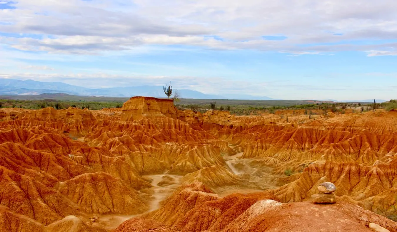 un cactus et du sable rouge vif dans le désert de Tatacoa