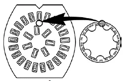 Calendar label - Illustration
