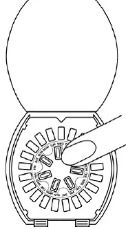 The next day take a dark green pill from the inner ring - Illustration