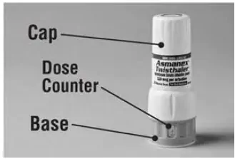 Hold the inhaler in the upright position and place the mouthpiece into your mouth - Illustration