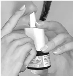 FLONASE (fluticasone propionate) Figure E Illustration