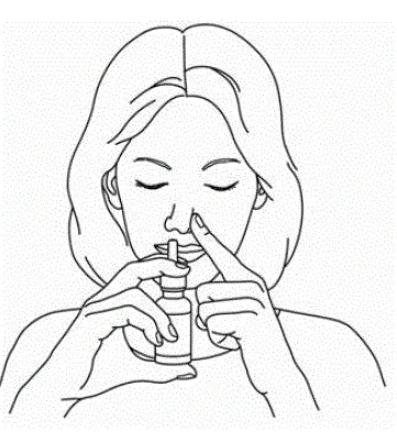 Keep the bottle upright and carefully place the spray pump tip ¼ to ½ inch into your other nostril - Illustration