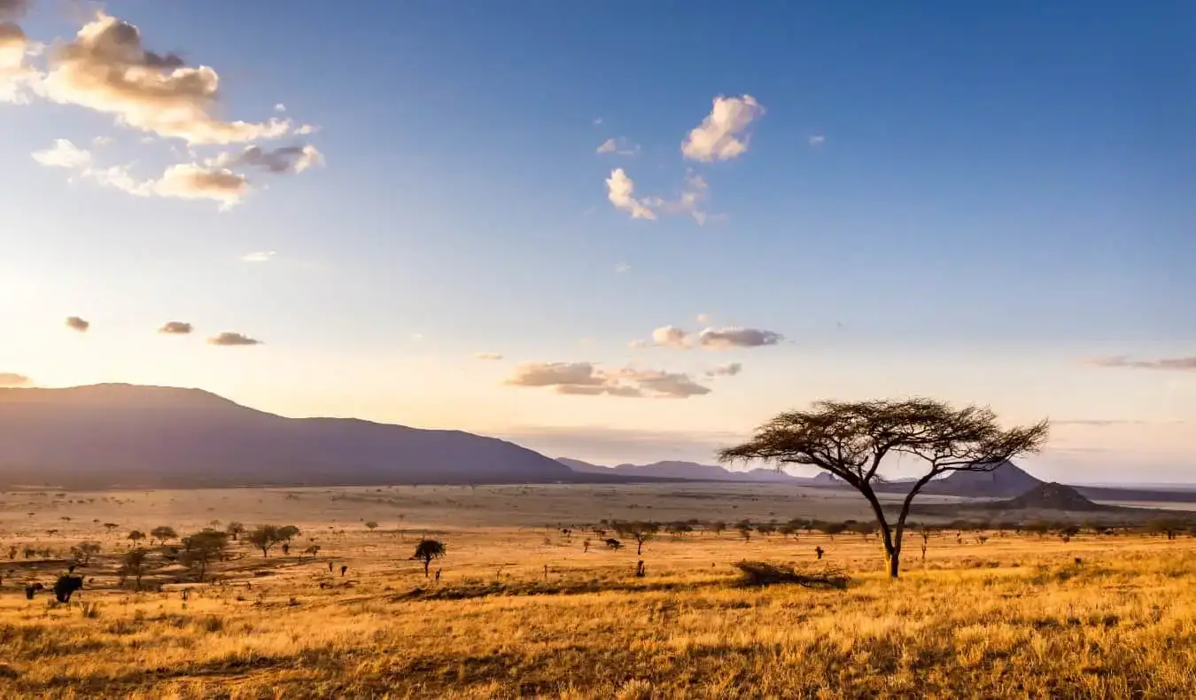 coucher de soleil sur les plaines de savane dans le parc national de Tsavo Est, Kenya